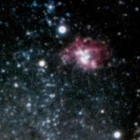NGC 604