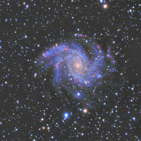 花火銀河　NGC6946