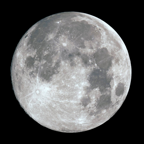 0821 ブルームーン