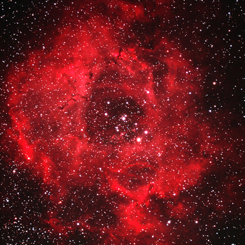 バラ星雲　NGC2273