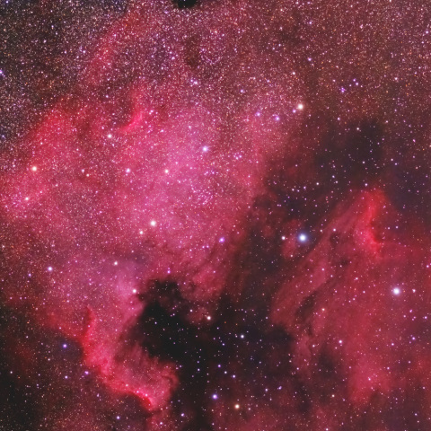 北アメリカ星雲～ペリカン星雲