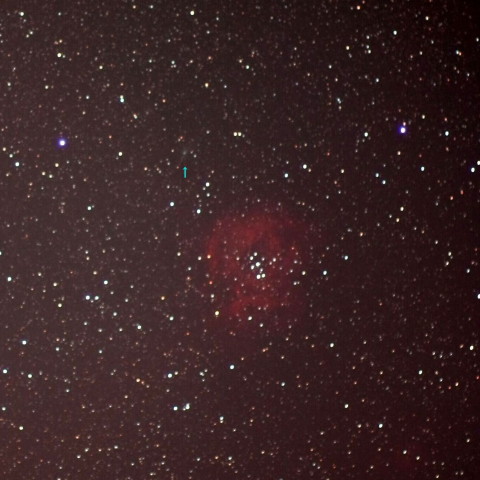 ウカイムデン彗星とバラ星雲