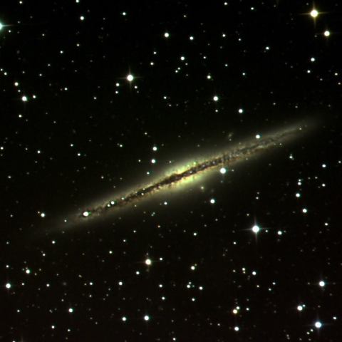 NGC891