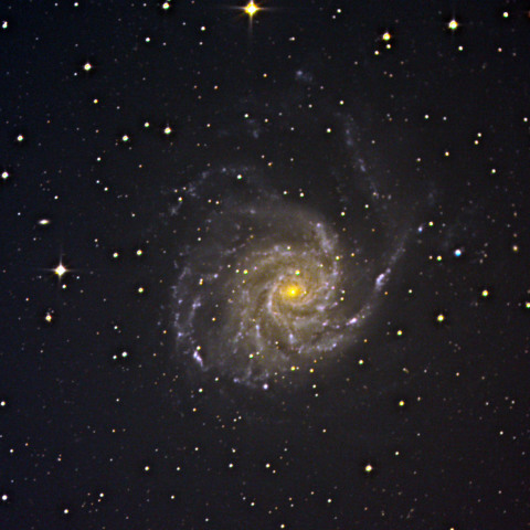 M101