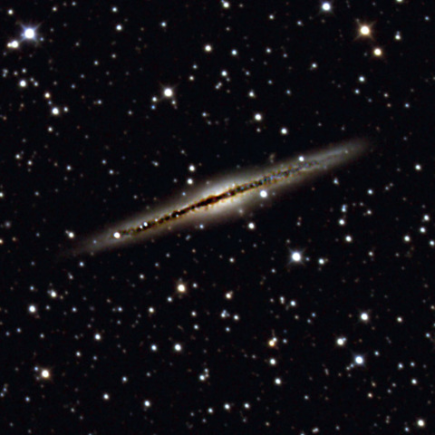 NGC891
