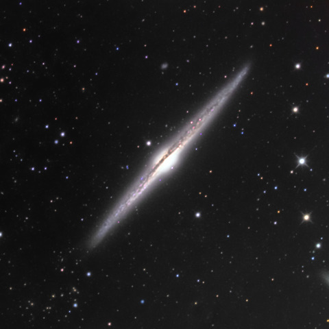 NGC4565