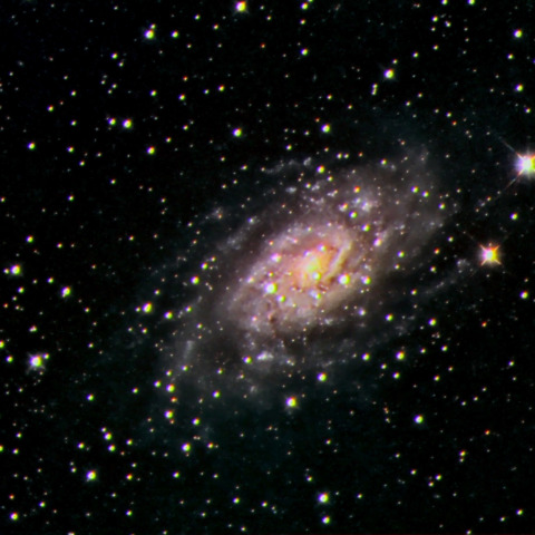 NGC2403