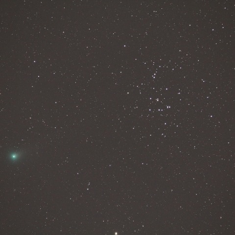 プレセペ星団とラブジョイ彗星