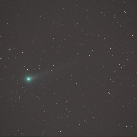 11/16ラブジョイ彗星