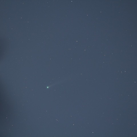 11/16アイソン彗星