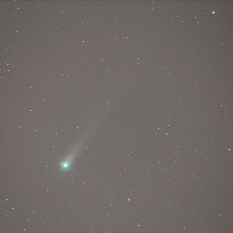 11/29早朝のラブジョイ彗星