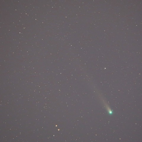 12/11のラブジョイ彗星