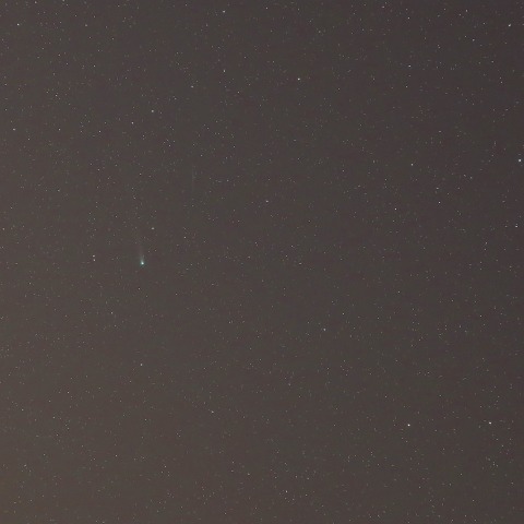 ラブジョイ彗星とＭ１３・人工衛星・かんむり座