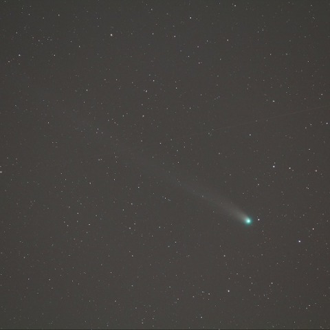 12/14のラブジョイ彗星