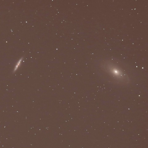 1/24のM82の超新星(SN2014J)とM81