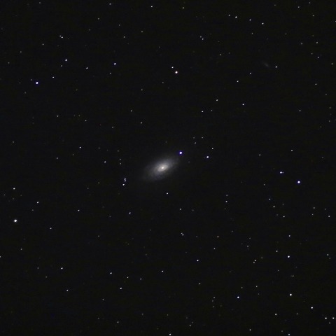 Ｍ６３ひまわり銀河(NGC5055)