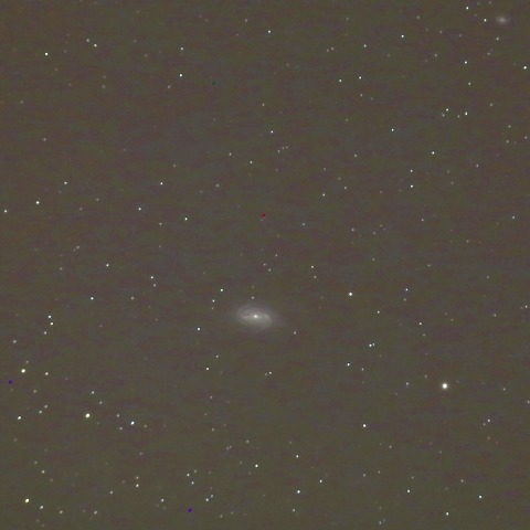 NGC2903銀河