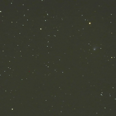 3/29のパンスターズ彗星(C/2012K1)