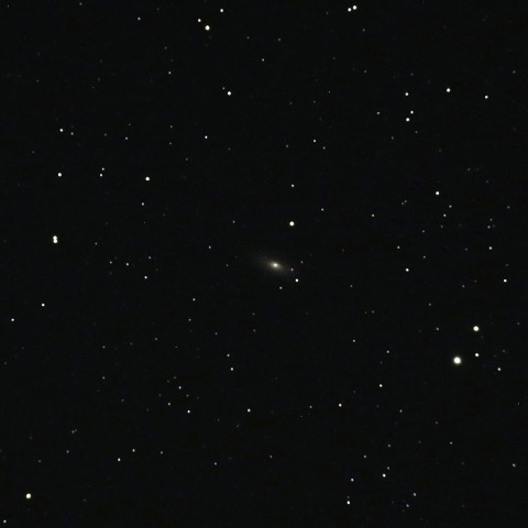 NGC2841銀河