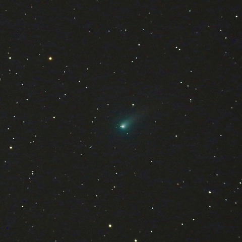 6/1のパンスターズ彗星(C/2012K1)