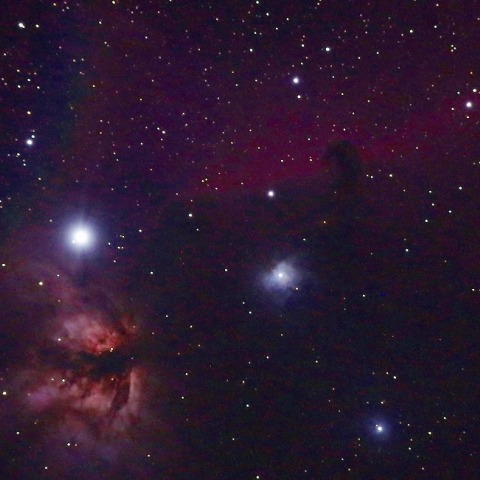 燃木星雲NGC2024と散光星雲IC434・馬頭星雲