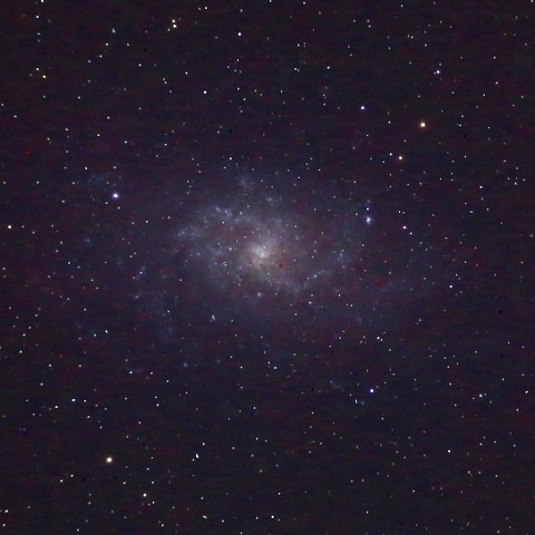 M33 (NGC598)