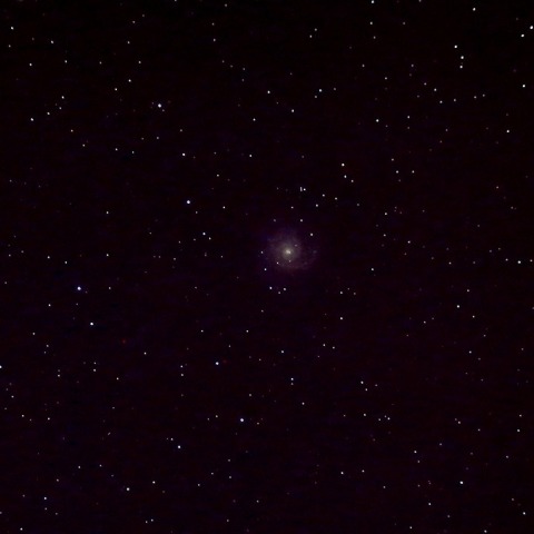 M74銀河 (NGC628)