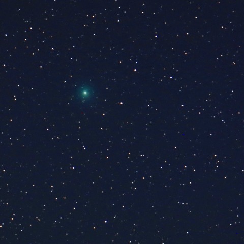 12/3早朝のラヴジョイ彗星(C/2014Q2)