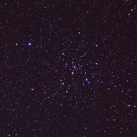 Ｍ４１ 散開星団