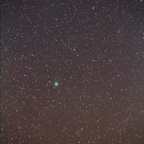 12/18ﾗｳﾞｼﾞｮｲ彗星 はと座星野