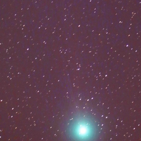 12/26のラヴジョイ彗星(C/2014Q2)