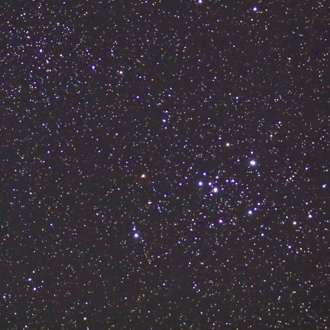Ｍ４７ 散開星団(NGC2422)