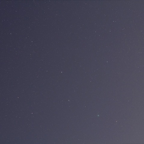 うさぎの足下のラヴジョイ彗星