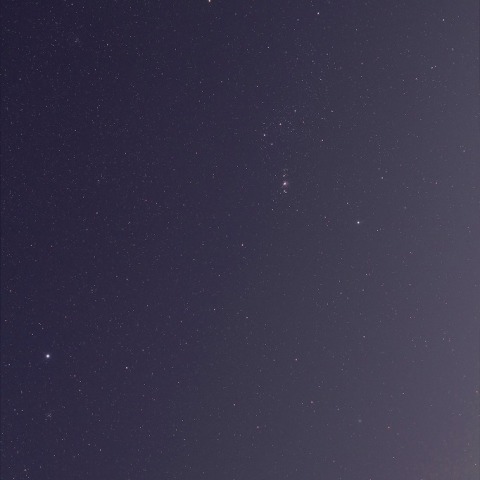 オリオン、おおいぬ、うさぎとラヴジョイ彗星