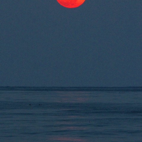 2015年初満月の出