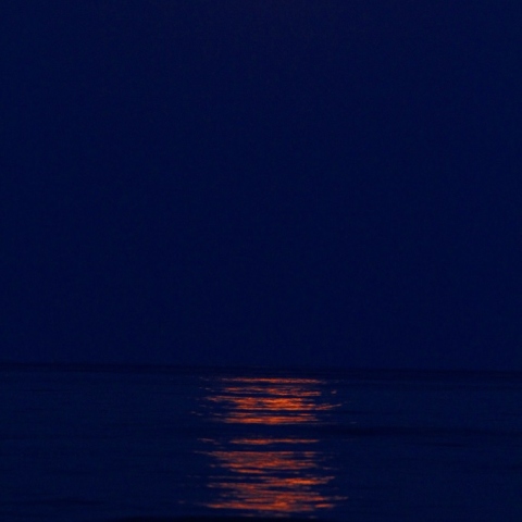 満月への光の道