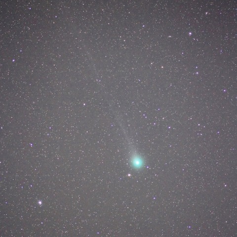 1/23ラヴジョイ彗星(C/2014Q2)