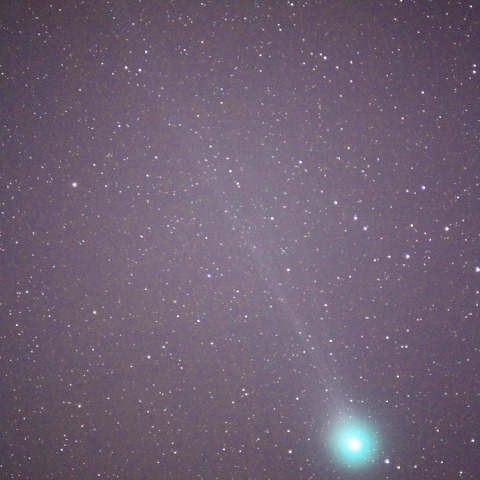 1/23ラヴジョイ彗星(2014Q2)