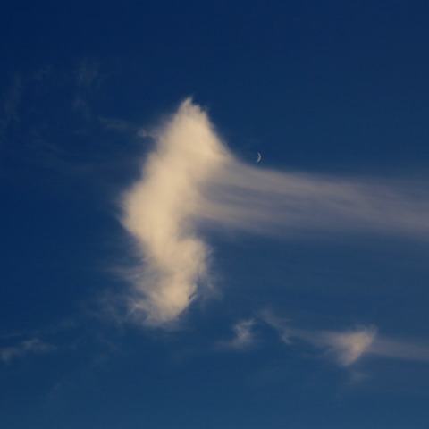 夕月に秋風立つ