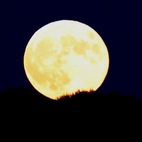 スーパームーンの出