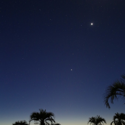 月・金星・火星・木星としし座
