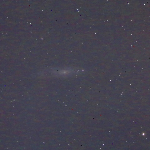 NGC247中間渦巻銀河