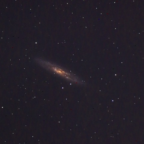 NGC253スターバースト銀河