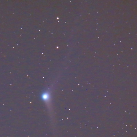 12/5のカタリナ彗星(C/2013US10)
