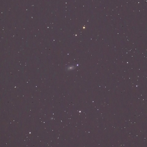 NGC3338渦巻銀河
