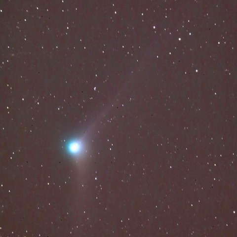 12/19カタリナ彗星(C/2013US10)