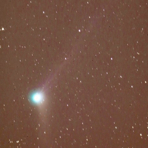 12/20カタリナ彗星(C/2013US10)