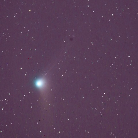 12/22カタリナ彗星(C/2013US10)
