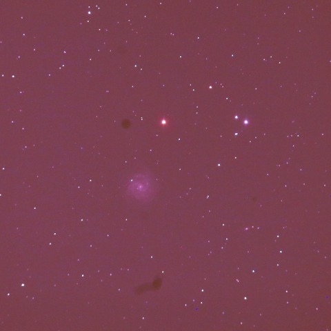NGC3184渦巻銀河