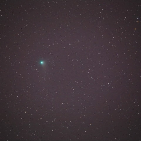 1/9カタリナ彗星(C/2013US10) 300mm